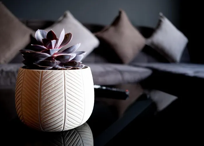 Fayence - Durlach * Karlsruhe